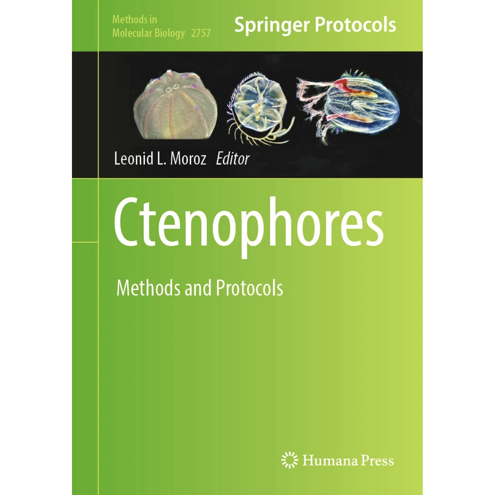 Dr. Leonid L. Moroz; his book about Ctenophores and the unique chapter Ctenophora: Illustrated Guide and Taxonomy