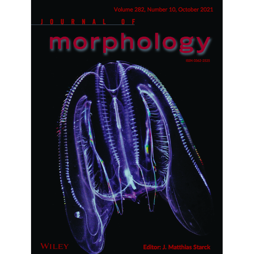 Journal of Morphology Cover Ctenophore Dr. Leonid Moroz