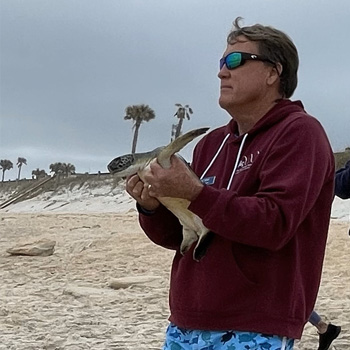 Sea Turtle Hospital Patient Adrift Released