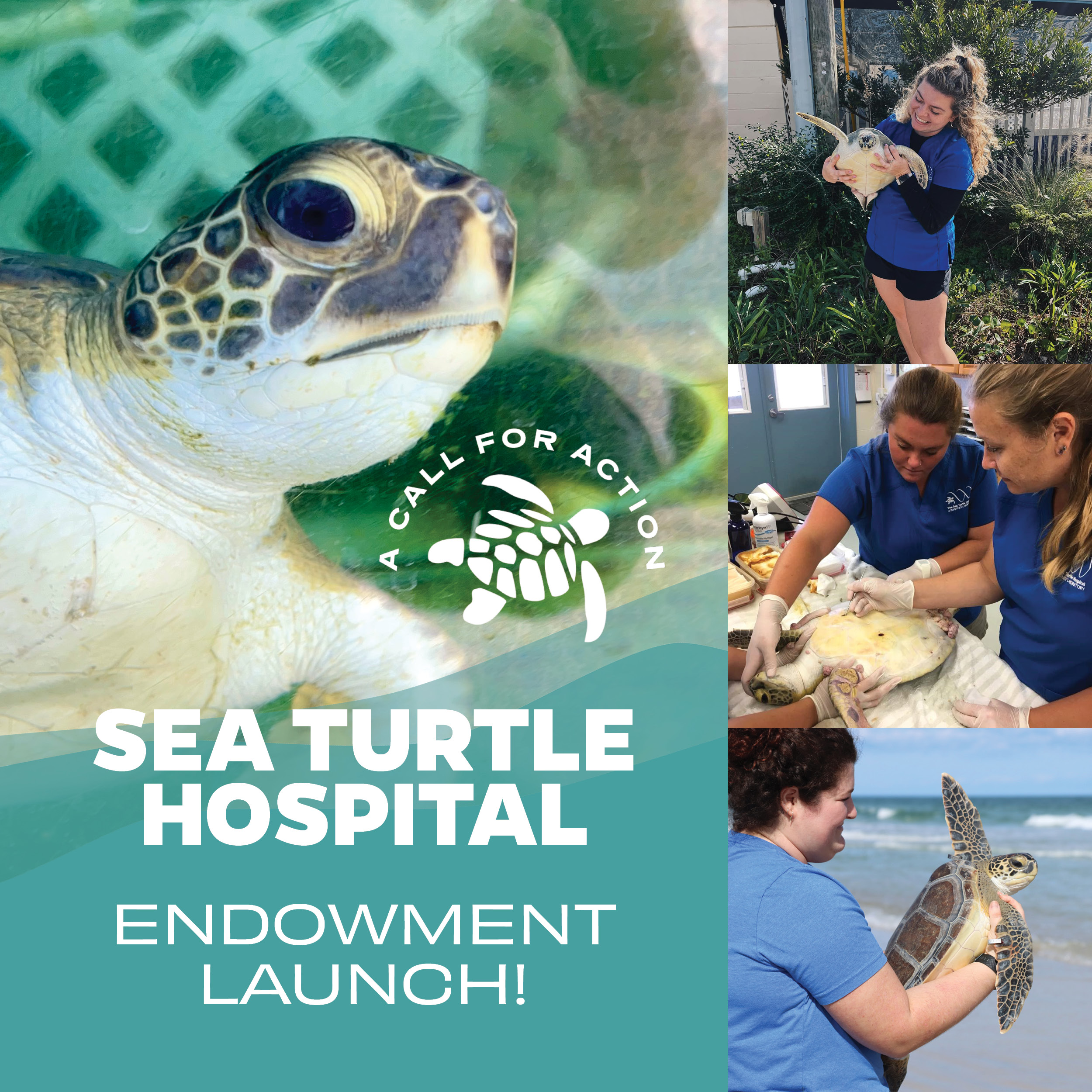 A Call for Action Sea Turtle Hospital Endowment Launch