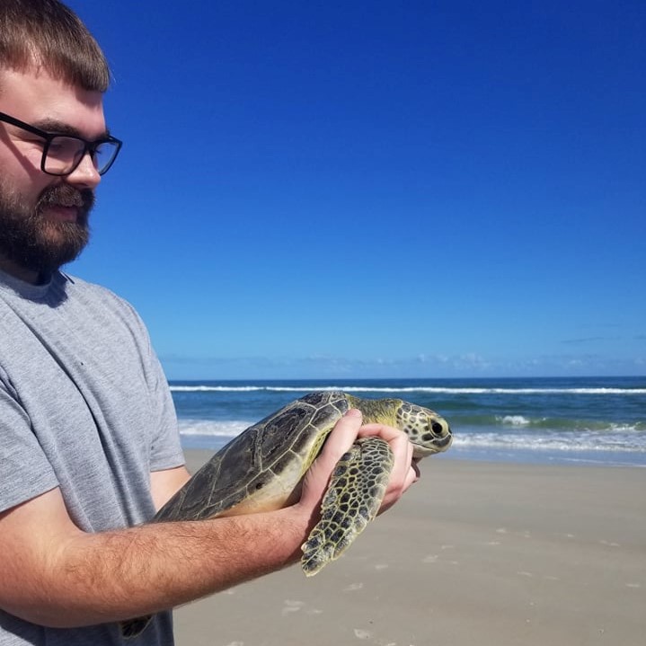 Sea Turtle Grape Release