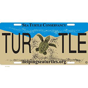 turtle license plate