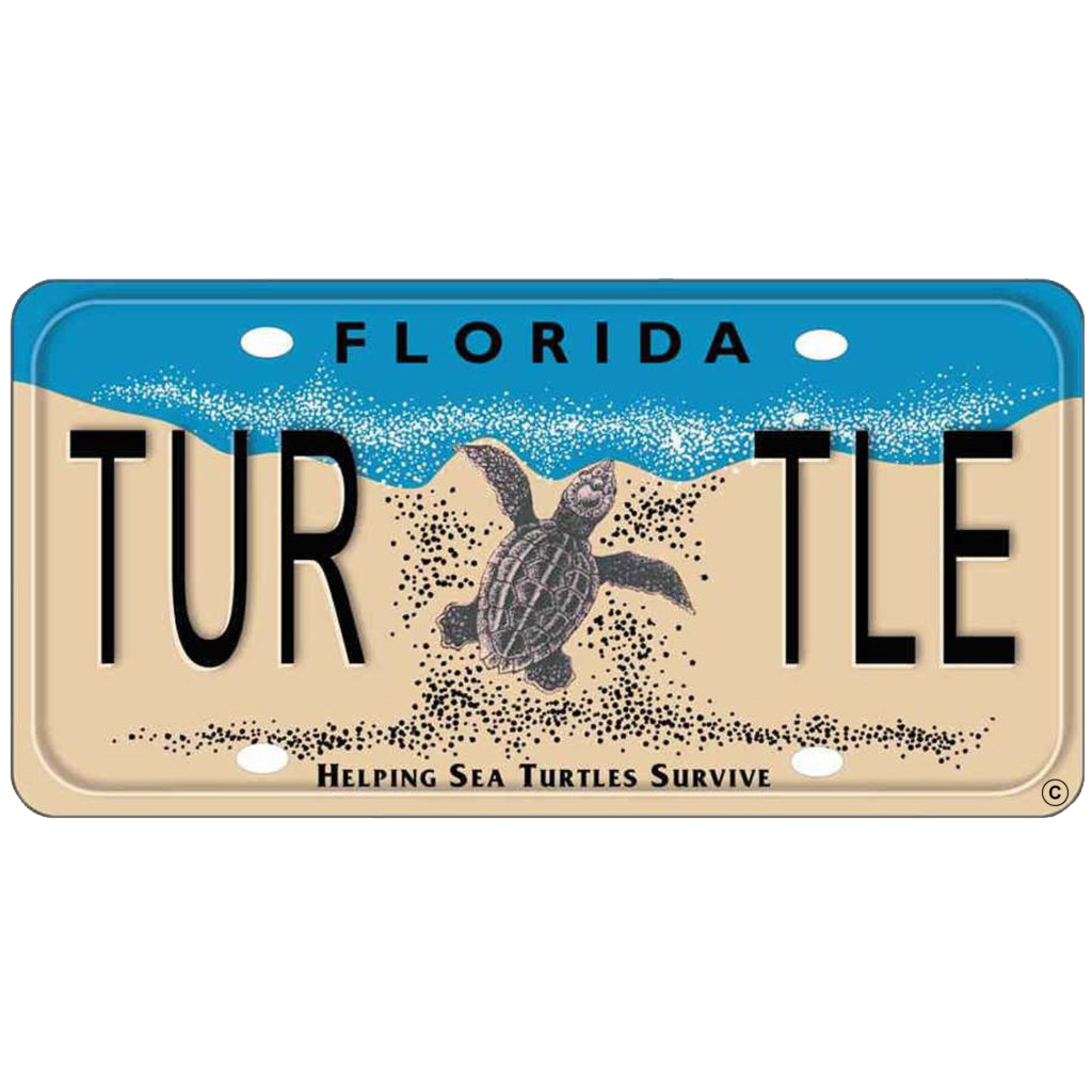 Sea Turtle License Plate