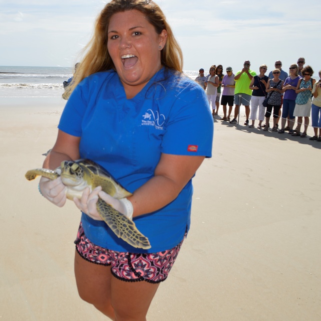 Periwinkle Released on World Turtle Day 
