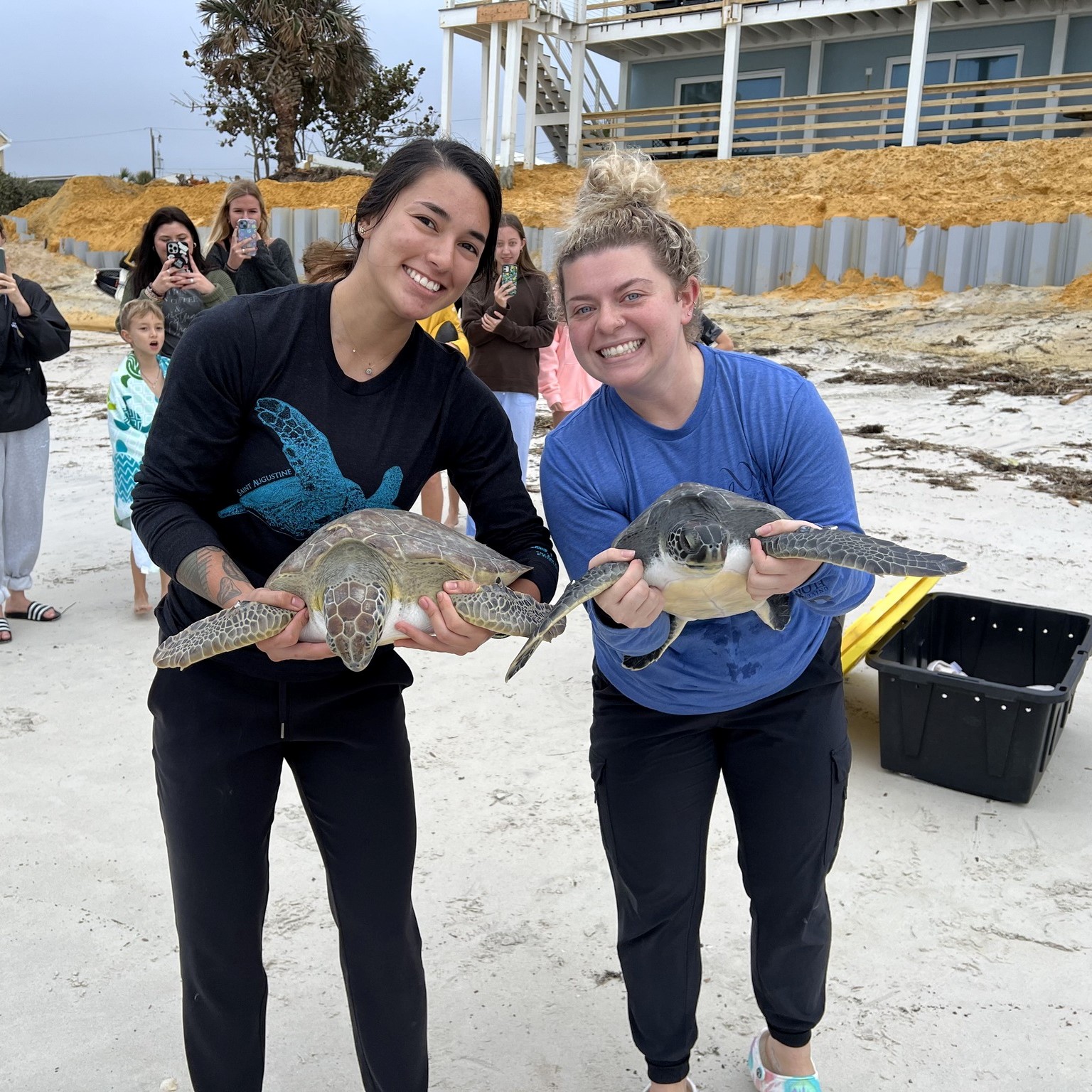 Sea Turtle Hospital staff each holding a turtle at the beach before the turtles being released into the ocean