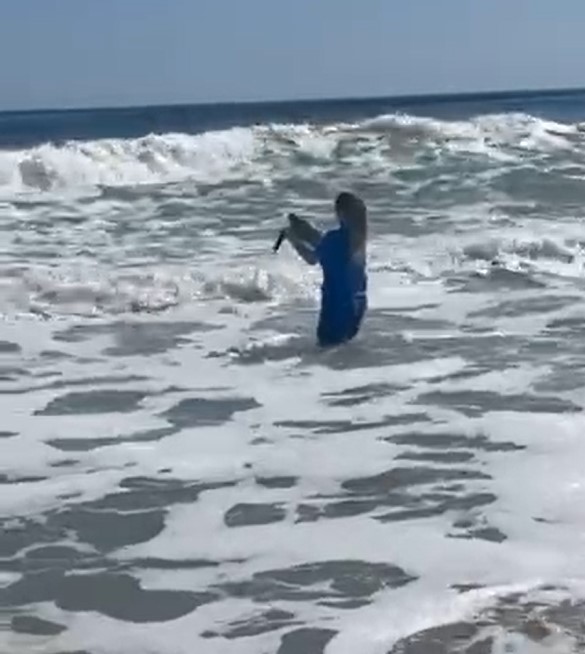 Women releasing turtle into ocean