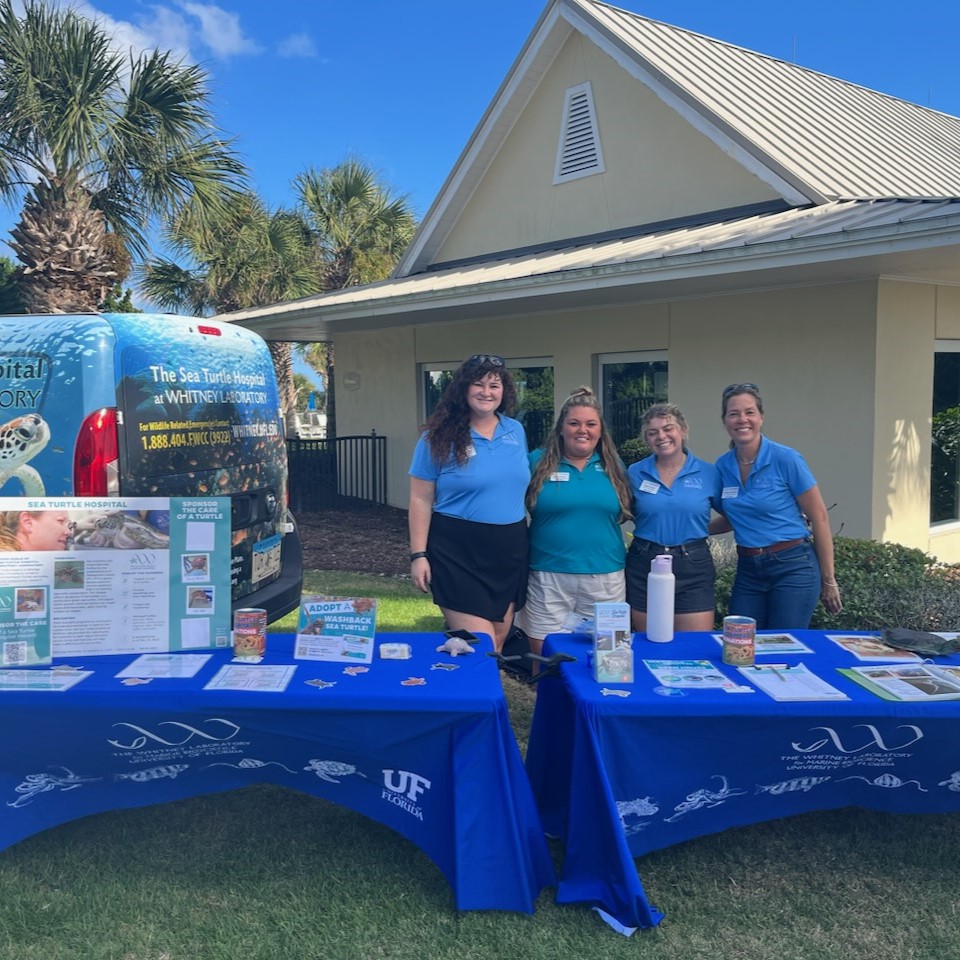 Sea Turtle Hospital team at Taste of the Fun Coast Event