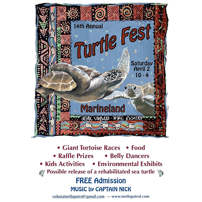 Sea Turtle Hospital at Turtle Fest April 2