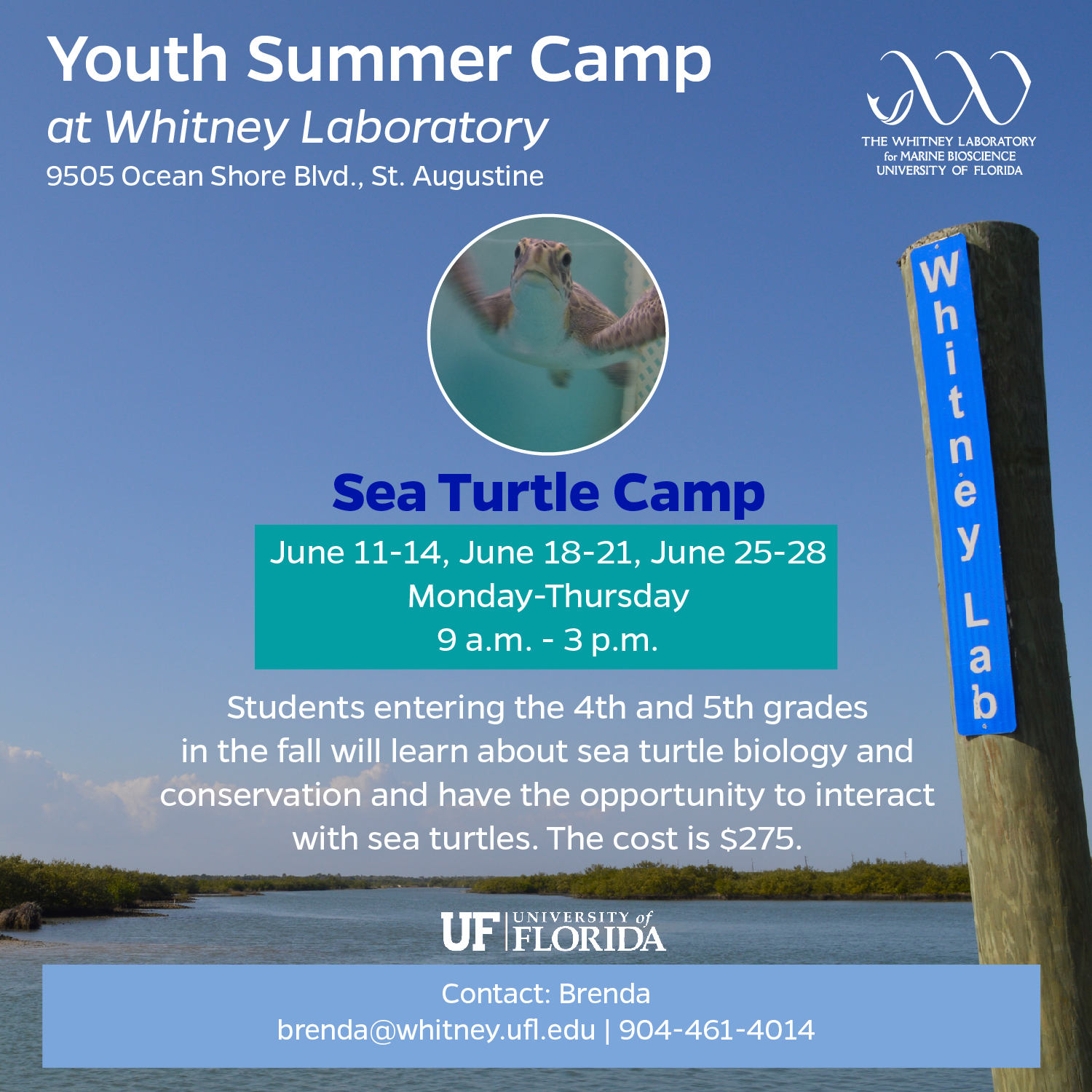 Registration Open for Sea Turtle Summer Camp