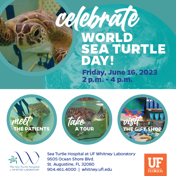 Join us June 16 to Celebrate World Sea Turtle Day!