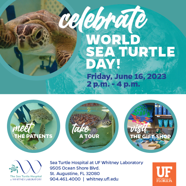 World Sea Turtle Day 2023 Flyer