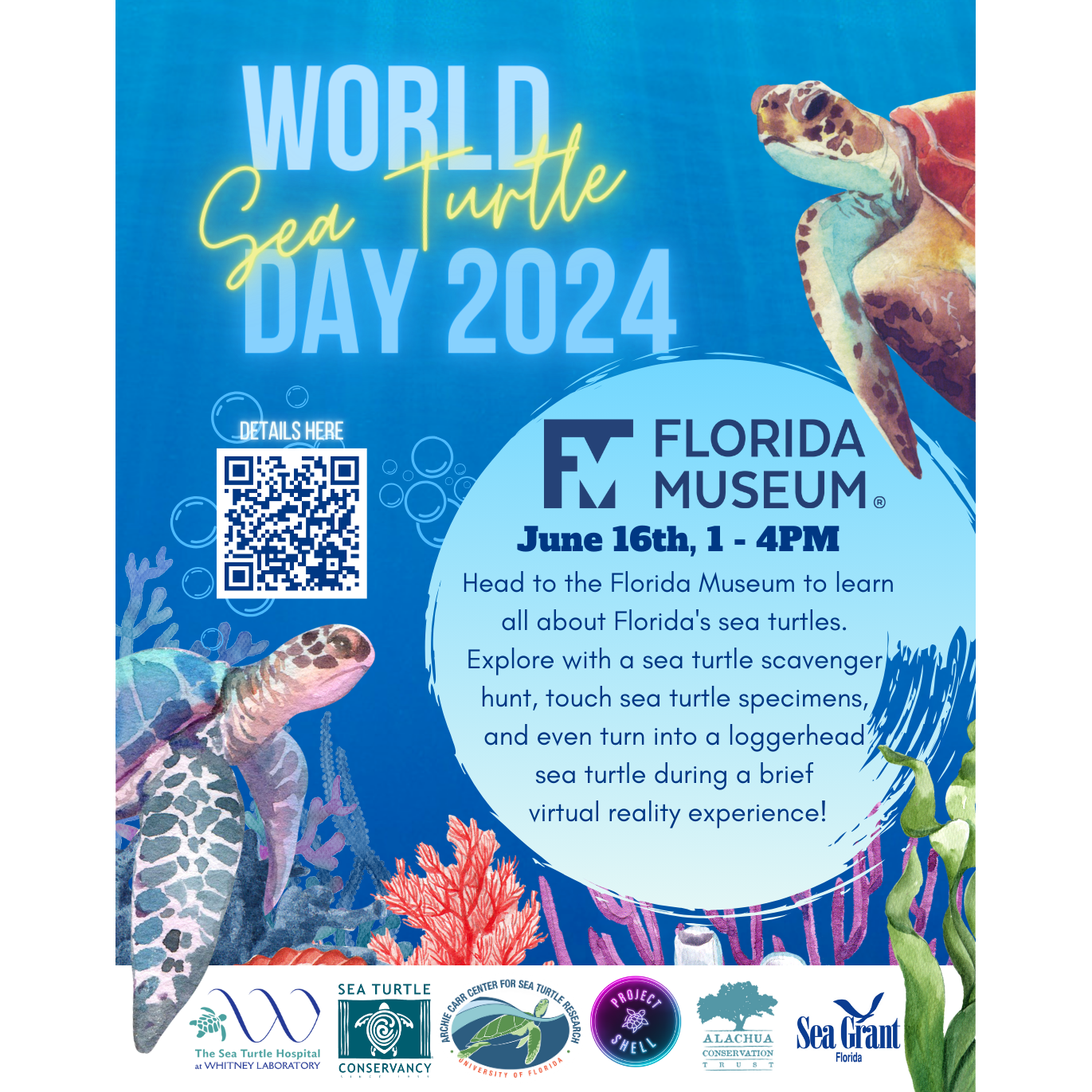 June 16 - Sea Turtle Hospital at Florida Museum's World Sea Turtle Day Celebration