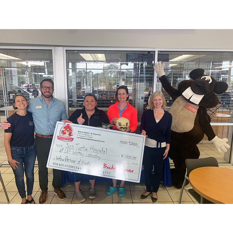 The Sea Turtle Hospital is Beaver Toyota's WOW PARTNER of the Month