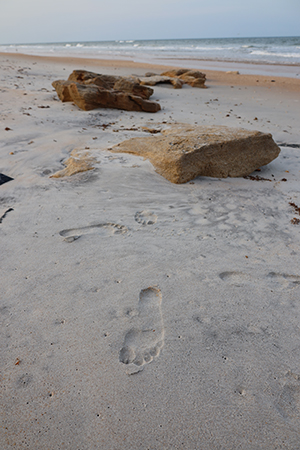 Footprints on the beach with rocks and water in background