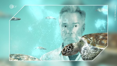 ZDF Sea Turtle Documentary with Hannes Jaenicke