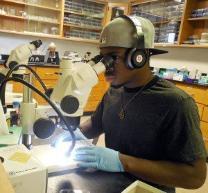 Student in lab