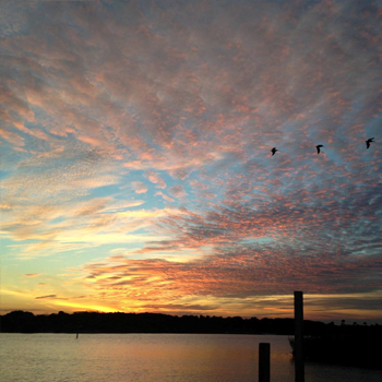 Science by the Shore Symposium March 7, 2026 - Registration Now Open