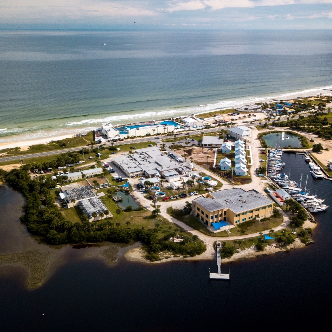 Aerial view of the Whitney Laboratory campus