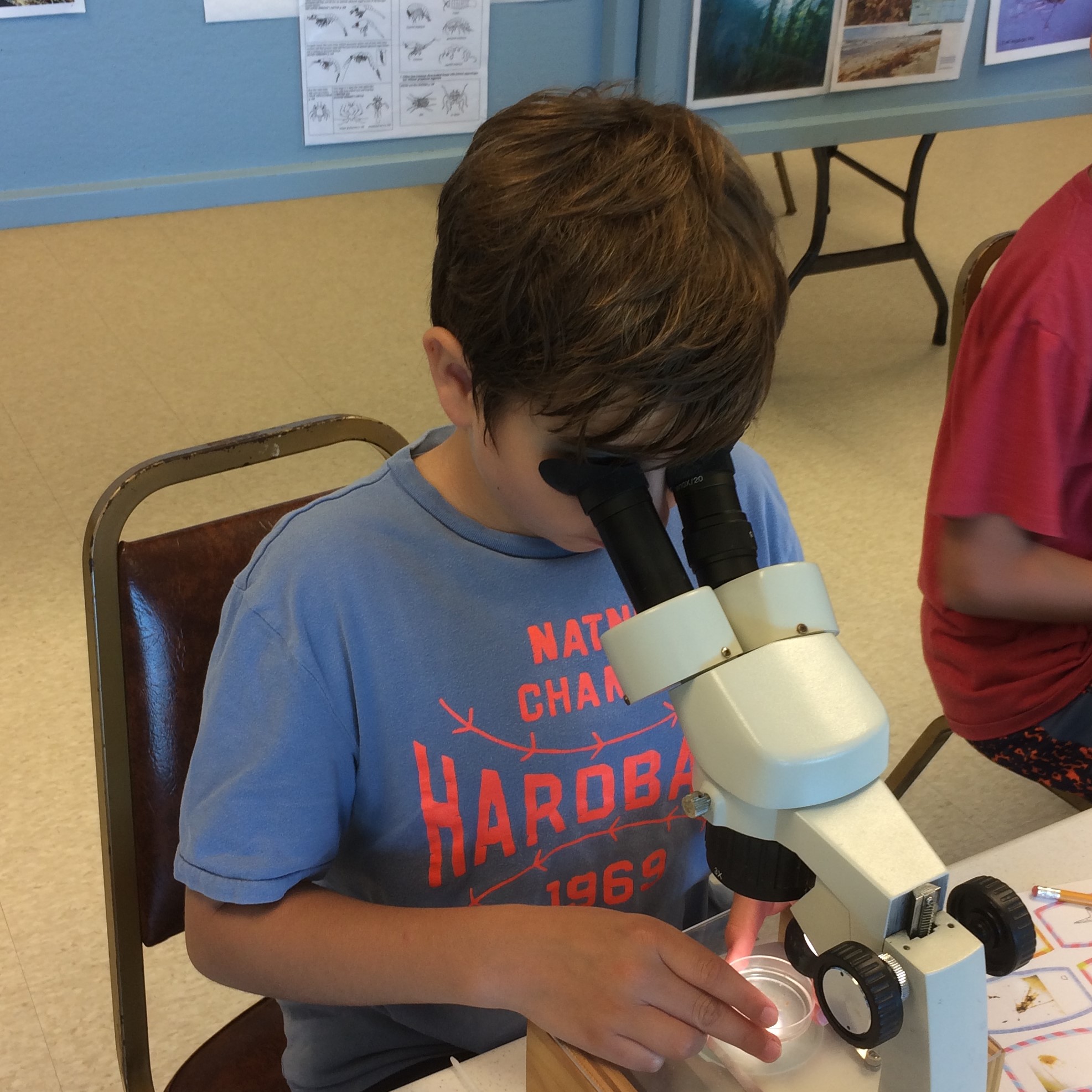 Boy looking into microscope