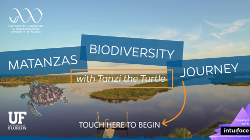 Screenshot of start of Matanzas Biodiversity Journey
