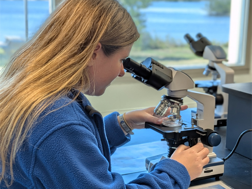 Person looking into microscope
