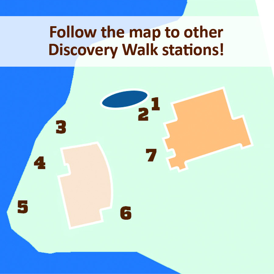 Discovery walk map