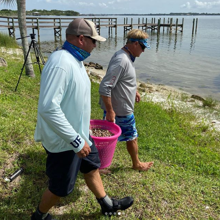 Two Million Clams Deployed to Date for Indian River Lagoon Restoration