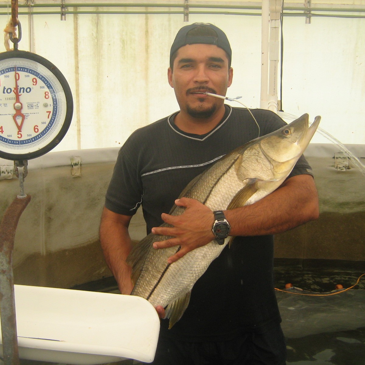 Dr. Ibarra-Castro Receives Award for his contributions to the development of aquaculture in Mexico