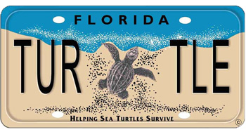 Sea Turtle License Plate