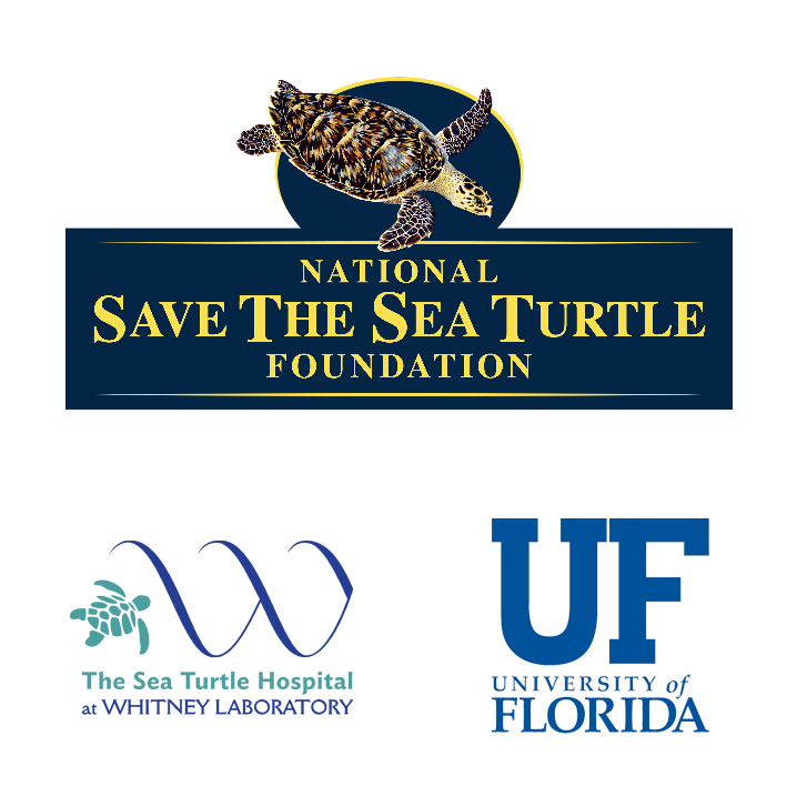 Generously supported by the National Save The Sea Turtle Foundation