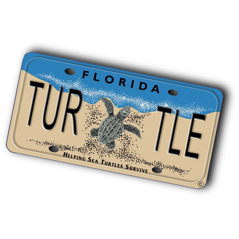 Sea Turtle Hospital Awarded Grant from Florida Sea Turtle Grants Program to Support New Sea Turtle Transport Vehicle