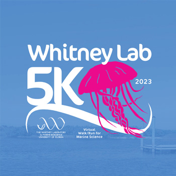 Whitney 5K 2023 Graphic