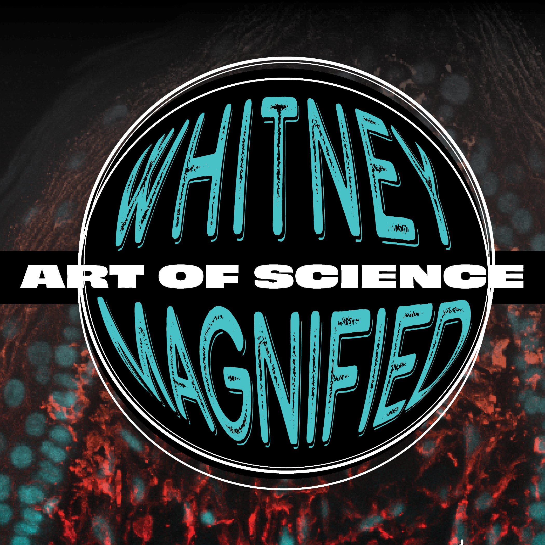 Graphic with Whitney Magnified, Art of Science wording