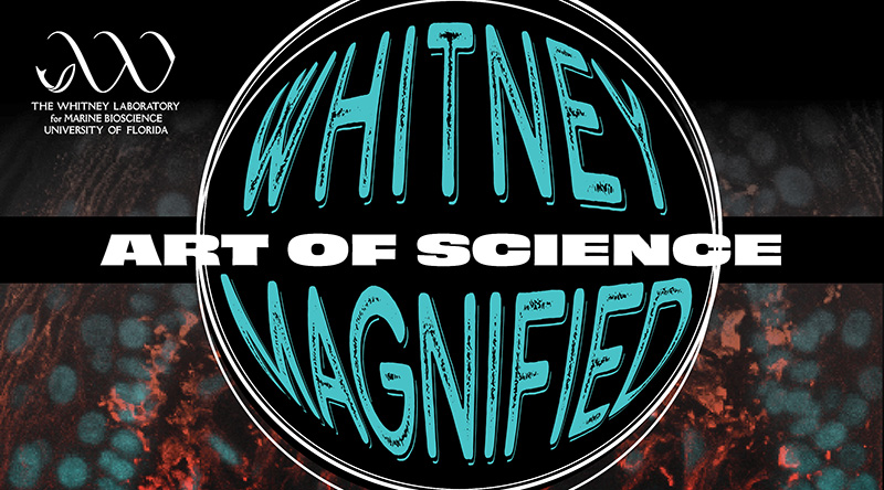 Graphic with Whitney Magnified, Art of Science wording