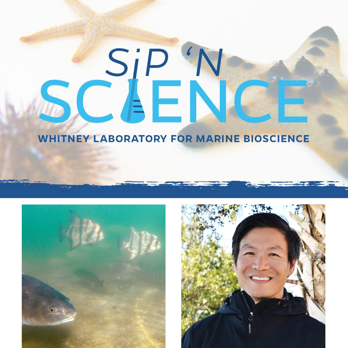 Whitney Sip 'N Science Free Webinar Sept. 17 - Dr. James Liao | The Tao of Fish Swimming
