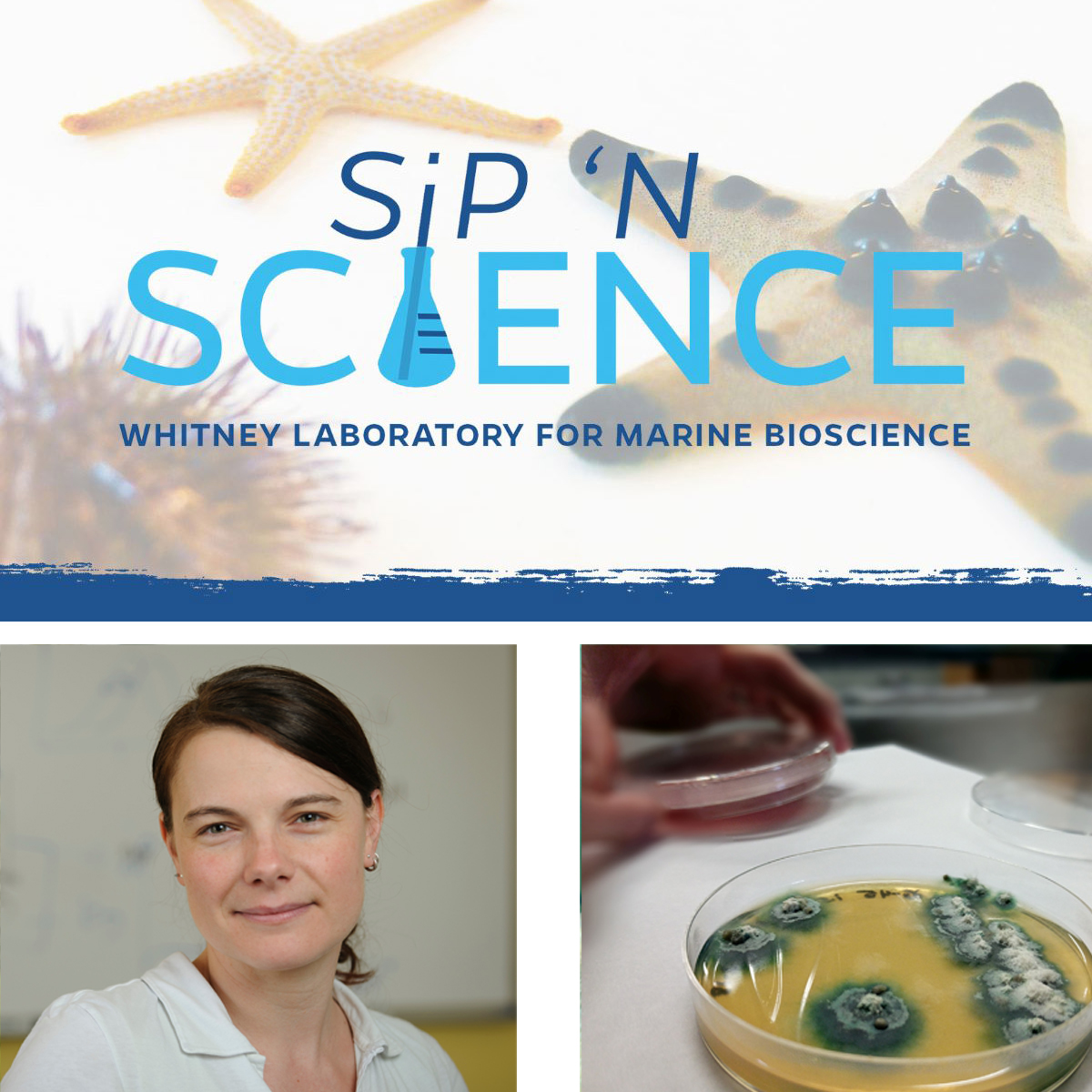 Whitney Sip 'N Science Free Webinar Dec. 10 - Dr. Sandra Loesgen | Drugs from Dirt and Oceans