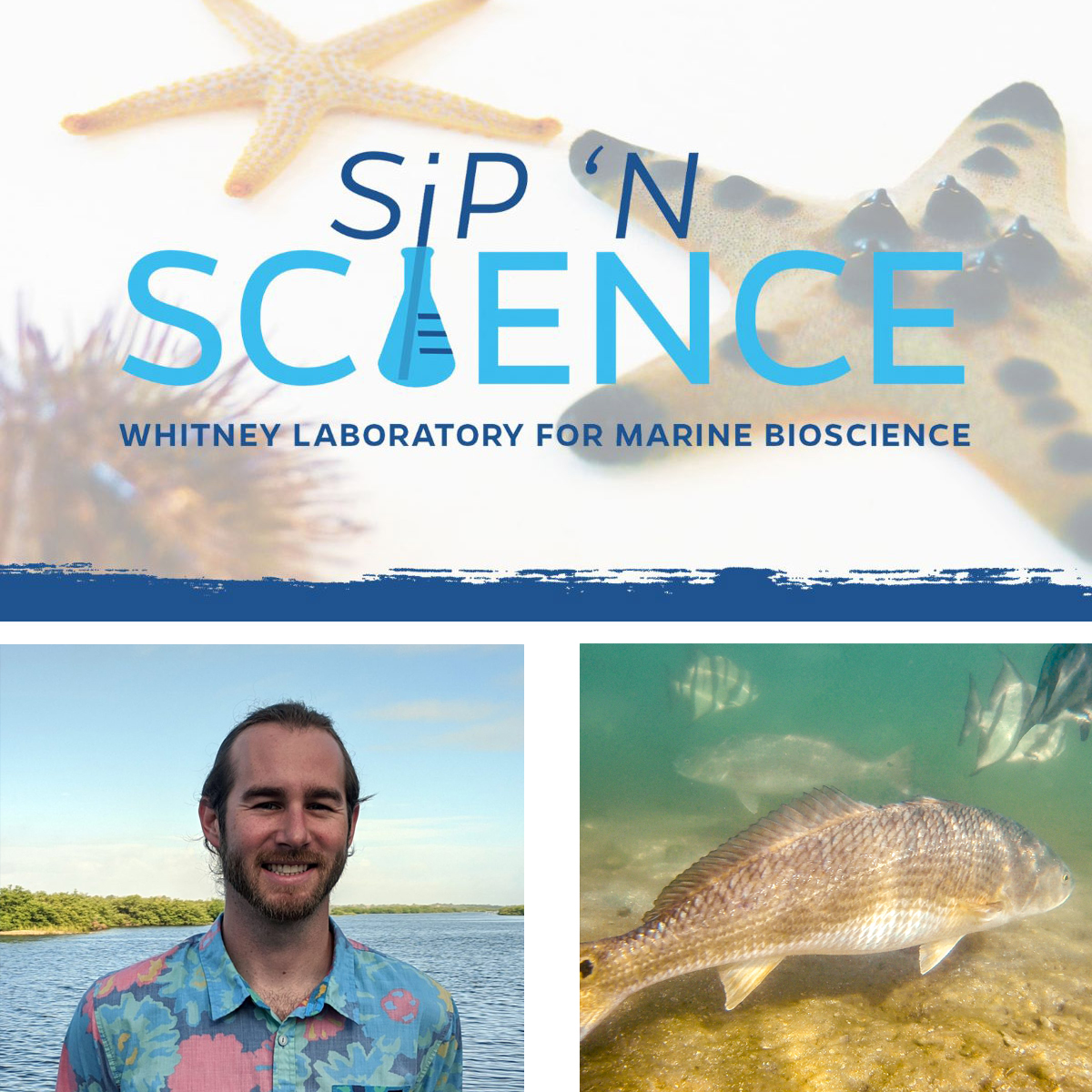 Whitney Sip 'N Science Free Webinar Feb. 11 - Clark Morgan, Secrets of Local Fish Migration in Northeast Florida