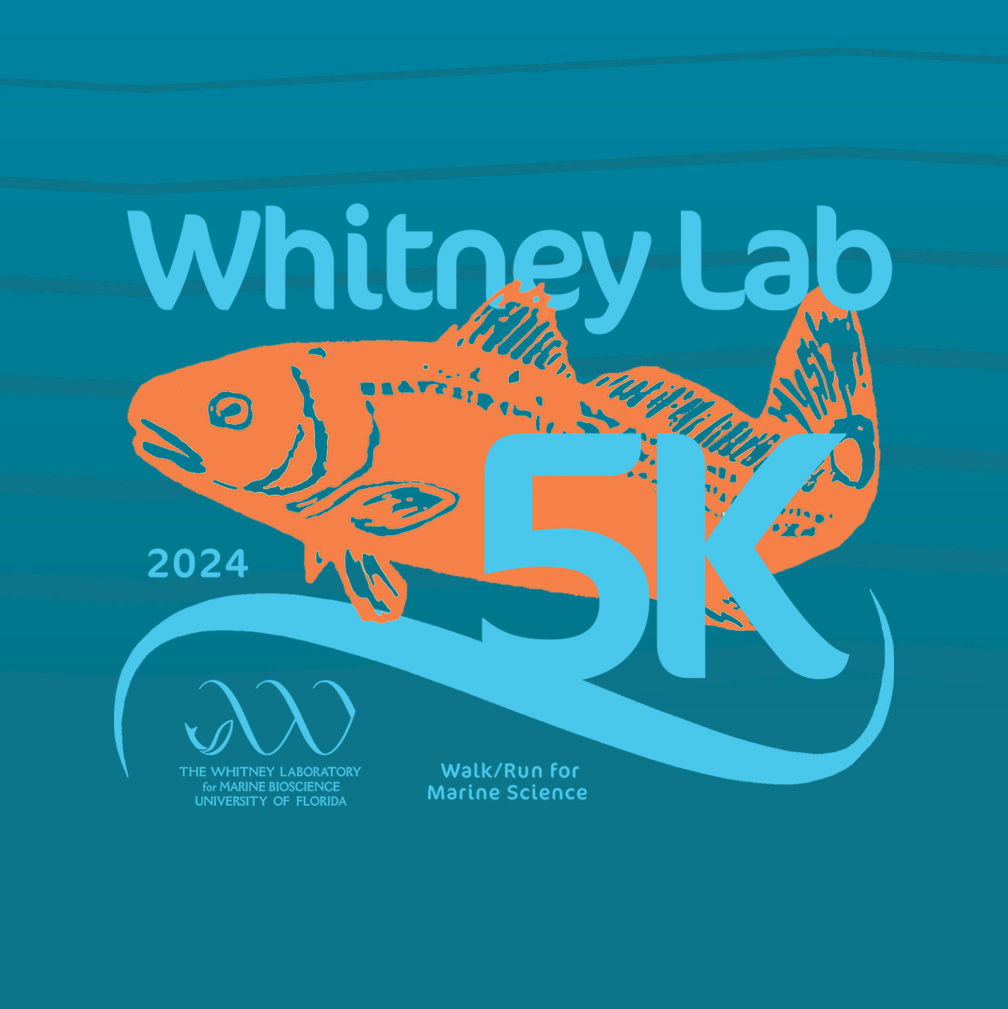 Whitney Lab 5K Graphic