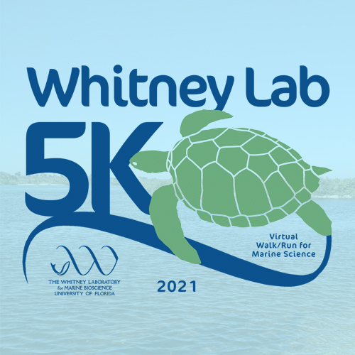 Whitney Lab 5K Design