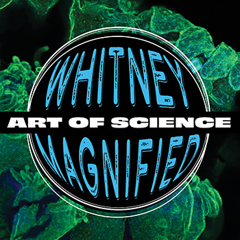 Join us December 13 for Whitney Magnified - Art of Science