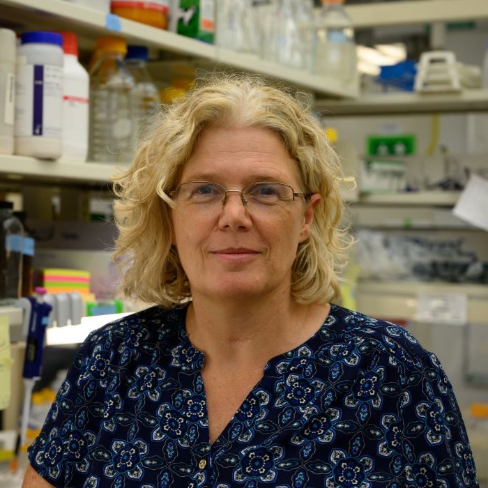 Carnegie Mellon professor tapped as Whitney Lab’s next director