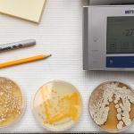 Close up image of agar plates, pencils, notepad, scale