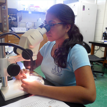 Student at microscope