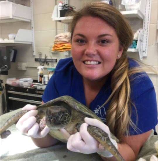 Sea Turtle Hospital Manager Devon Ramia Featured in Unity College's Alumni Stories
